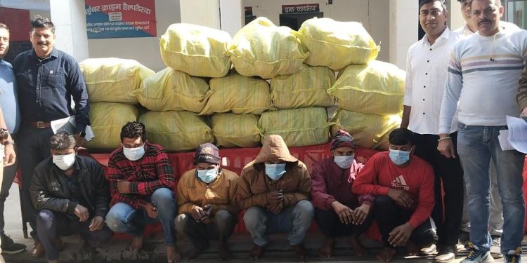 एक करोड़ के अवैध गांजे साथ 7 तस्करो को पुलिस ने किया गिरफ्तार