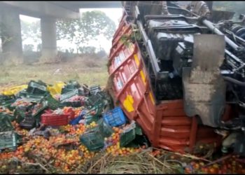 घने कोहरे व तेज रफ्तार के चलते यमुना एक्सप्रेस वे से करीब 20 फीट नीचे गिरा केंटर, मध्यप्रदेश से मेरठ लेकर जा रहे थे टमाटर, 2 लोग हुए घायल