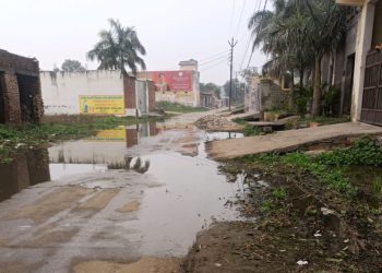 पूर्व मुख्यमंत्री के गांव में बदहाल सफाई व्यवस्था, सड़को पर भरा पानी, ग्रामीण परेशान