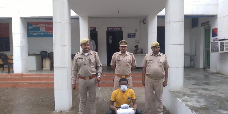 अवैध गांजे के साथ विदेशी नागरिक गिरफ्तार, दिल्ली से गांजे लाकर ग्रेनो में विदेशी नागरिकों को बेचता था गांजा