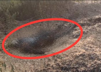 युवक की हत्या कर भूसे के बोंगे में शव को डालकर लगाई आग