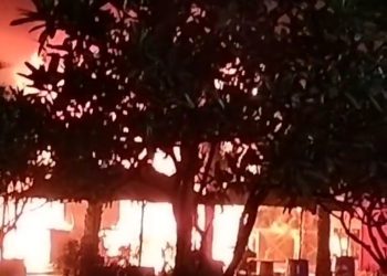 गलगोटिया विश्वविद्यालय के फूड कोर्ट में देर रात लगी भयानक आग, फायर विभाग की कई गाड़ियों ने घंटो के बाद पाया काबू