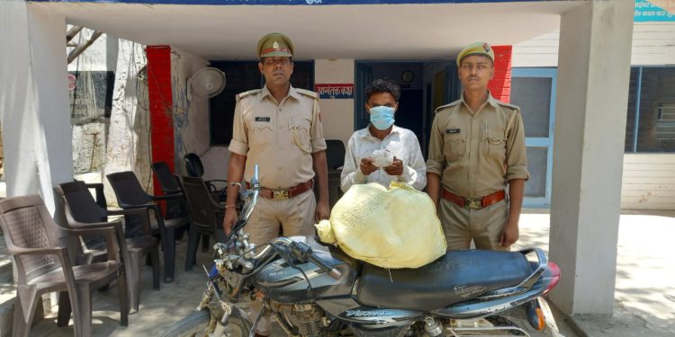 अवैध गांजे के साथ तस्कर को पुलिस ने किया गिरफ्तार