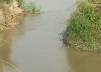 नहर कटने से किसानों की सैकड़ों बीघे फसल हुई जलमग्न, किसानों ने की मुआवजे की मांग