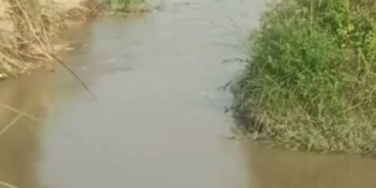 नहर कटने से किसानों की सैकड़ों बीघे फसल हुई जलमग्न, किसानों ने की मुआवजे की मांग