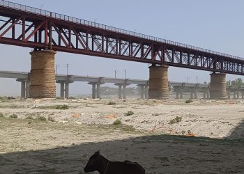 प्रयागराज में गंगा नदी की रेत में फिर दिखाई पड़े सैकड़ों दफन शव, जानें ऐसा क्यों हो रहा?