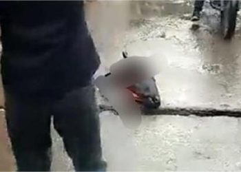 दिल्ली में एक मंदिर के बाहर मिला भैंस का कटा सिर, पुलिस ने 2 को किया गिरफ्तार