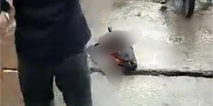 दिल्ली में एक मंदिर के बाहर मिला भैंस का कटा सिर, पुलिस ने 2 को किया गिरफ्तार