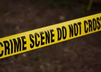 Delhi Crime: रोहिणी में बेटे ने कर दी मां की हत्या, कारणों की पड़ताल में जुटी दिल्ली पुलिस