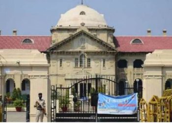 इलाहाबाद हाई कोर्ट का बड़ा फैसला, प्रसव के लिए मजबूर नहीं की जा सकती दुष्कर्म पीड़िता