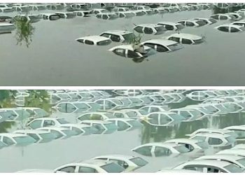 जलस्तर बढ़ने से नोएडा में उफान पर हिंडन नदी, Ecotech 3 के पास सैकड़ों गाड़ियां डूबीं