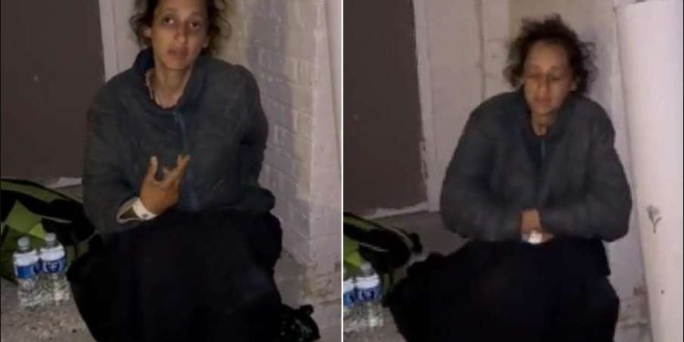 अमेरिका पढ़ाई करने गई तेलंगाना की लड़की, शिकागो की सड़क पर भूख से तड़पती मिली, मां ने लगाई मदद की गुहार