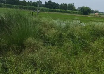 करंट लगने से महिला के मौत के मामले में परिजनों ने यूपीपीसीएल के जेई पर दर्ज कराया हत्या का मामला