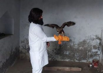 सारस के बाद अब बाज बना आरिफ का नया दोस्त, पक्षी प्रेमी ने पेश की नई मिसाल