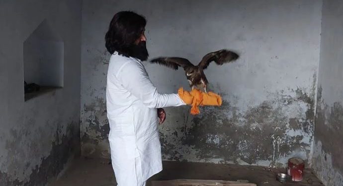 सारस के बाद अब बाज बना आरिफ का नया दोस्त, पक्षी प्रेमी ने पेश की नई मिसाल