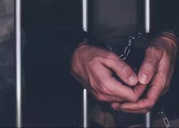 बरेली: जोगीनवादा में फायरिंग करने वाला गिरफ्तार, नेपाल भागने की था फिराक में…एसओजी के हत्थे चढ़ा