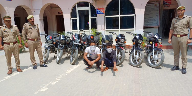 बाइक चोरी करने वाले गिरोह के दो शातिर चोरों को पुलिस ने किया गिरफ्तार, चोरी की 8 बाइक बरामद