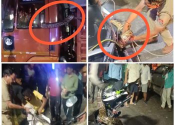 ट्रक व बाइक पर 10 फुट लंबे अजगर को देखकर डरे लोग, पुलिस ने जान जोखिम में डालकर अजगर को किया रेस्क्यू