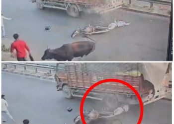 NH 91 पर गौवंश से टकराकर गिरे बाइक सवार को कैंटर ने रौदा, युवक की मौके पर हुई मौत घटना सीसीटीवी में कैद