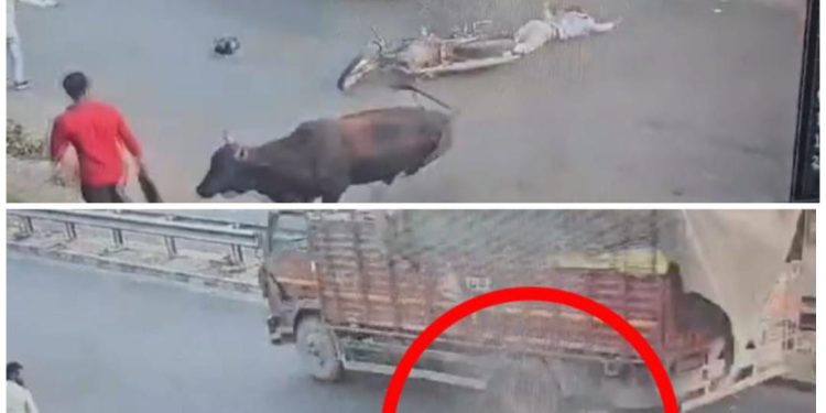 NH 91 पर गौवंश से टकराकर गिरे बाइक सवार को कैंटर ने रौदा, युवक की मौके पर हुई मौत घटना सीसीटीवी में कैद