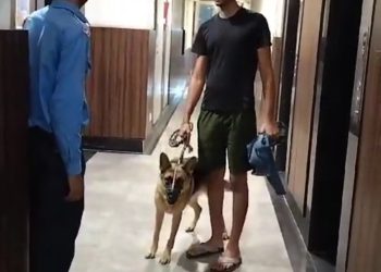 लिफ्ट में कुत्ता ले जाने को लेकर बहस की वीडियो सोशल मीडिया पर हुई वायरल
