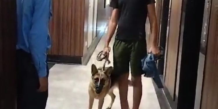 लिफ्ट में कुत्ता ले जाने को लेकर बहस की वीडियो सोशल मीडिया पर हुई वायरल