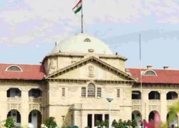 सोशल मीडिया पर अश्लील पोस्ट लाइक करना अपराध है या नहीं? इलाहाबाद हाईकोर्ट ने की अहम टिप्पणी