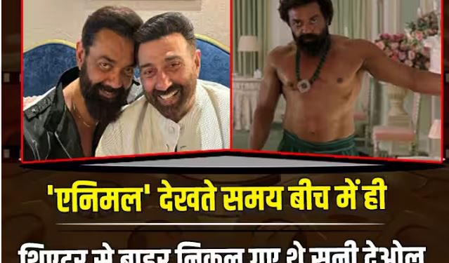 Animal में भाई Bobby Deol के इस सीन को देख सीट से उठकर बाहर चले गए थे Sunny Deol, जानें क्या थी वजह?