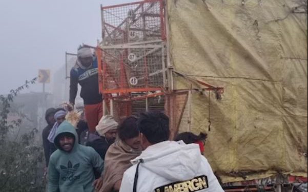 हादसे के बाद मची मुर्गे-मुर्गियां लूटने की होड़, बोरियों में भरकर ले गए लोग, NH पर दिखा हैरान करने वाला नजारा