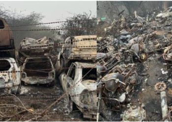 Delhi Fire: वजीराबाद में आग लगने से पुलिस यार्ड में खड़ी 450 गाड़ियां जलकर खाक, 2 घंटे में पाया गया काबू