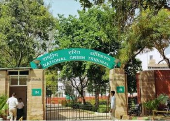 दिल्ली में पेड़ों की कटाई पर रक्षा मंत्रालय, DDA और वन विभाग को NGT का नोटिस, मांगा जवाब