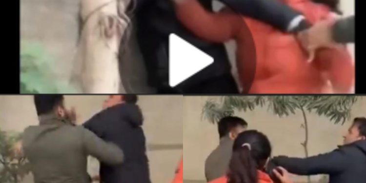 बिना मजल (मास्क) के कुत्ते को सोसाइटी में घूमने की आपत्ति पर हुआ विवाद