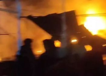 Delhi Fire: नरेला में जूता फैक्ट्री में लगी भीषण आग, दमकल की 30 गाड़ियों ने कड़ी मशक्कत के बाद पाया काबू