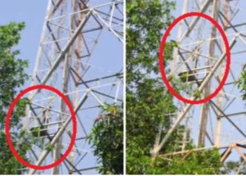 प्रेमी से शादी की जिद में युवती ने किया बवाल, बात मनवाने के लिए मोबाइल टावर पर चढ़ी; घंटों चला ड्रामा और फिर…