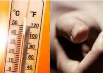 Kanpur News: 60 शवों से पोस्टमॉर्टम हाउस फूल, डॉक्टरों की बिगड़ी तबीयत