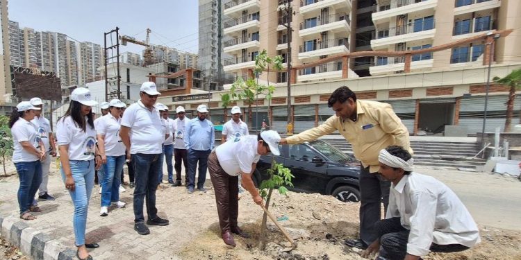 विश्व पर्यावरण दिवस पर लोगों ने सैकड़ों पौधे लगाकर लिया देखभाल का संकल्प
