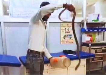 सांप ने डसा तो युवक ने पकड़ी नाग की गर्दन, घायल हालत में 30KM तक चलाई बाइक, फिर…