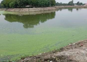 ग्रेटर नोएडा में इन दस गांवों में तालाबो का होगा जीणोद्धार, हरियाली के लिए लगाए जाएंगे 5000 वृक्ष