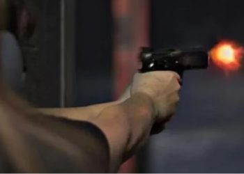 Agra: बेटे ने भैंस को चारा नहीं डाला, रिटायर्ड फौजी ने शराब के नशे में मार दी गोली