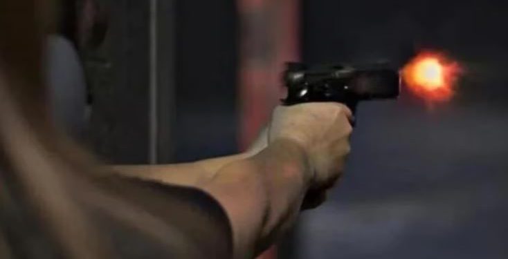 Agra: बेटे ने भैंस को चारा नहीं डाला, रिटायर्ड फौजी ने शराब के नशे में मार दी गोली