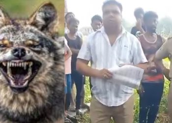 कहीं भेड़िया तो नहीं? अलीगढ़ में जंगली जानवर का आतंक, 3 ग्रामीणों पर किया हमला