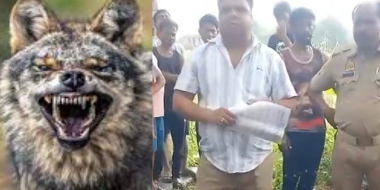कहीं भेड़िया तो नहीं? अलीगढ़ में जंगली जानवर का आतंक, 3 ग्रामीणों पर किया हमला