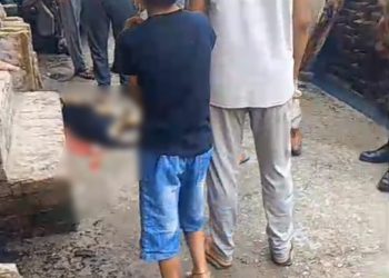 दादरी में शराबी ने शराब के नशे में पालतू फीमेल डॉगी की चाकू मार कर की हत्या