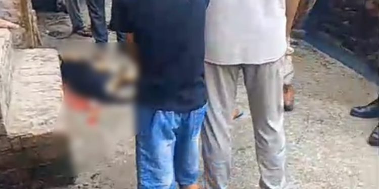 दादरी में शराबी ने शराब के नशे में पालतू फीमेल डॉगी की चाकू मार कर की हत्या