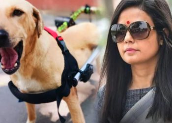 सांसद महुआ मोइत्रा के गोद लिए कुत्ते गुड्डू की हुई मौत, एमपी ने हत्या का आरोप लगाते हुए नोएडा पुलिस की शिकायत