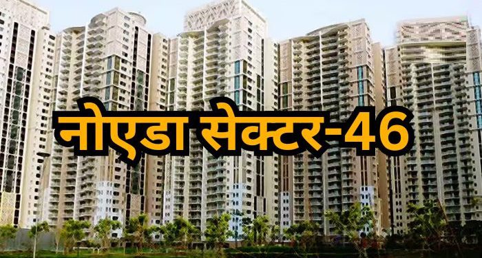 पेड़ भी काटे, नियमों का किया उलंघन सेक्टर-46 में 2 प्लॉटों का कराया निर्माण