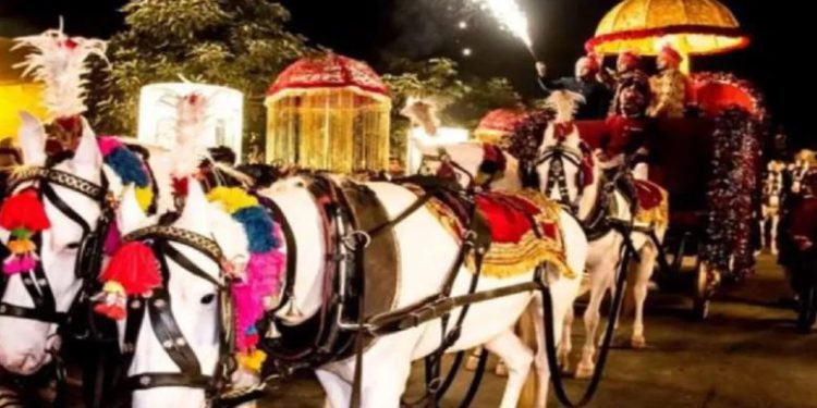 Noida News: आतिशबाजी के दौरान बरात चढ़ते बग्गी में लगी आग, दूल्हा और बच्चे थे सवार और…