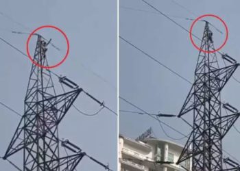 नोएडा: बिजली के हाई वोल्टेज टावर पर चढ़ डांस करने लगा सरफिरा, नीचे उतारने में लगी पुलिस