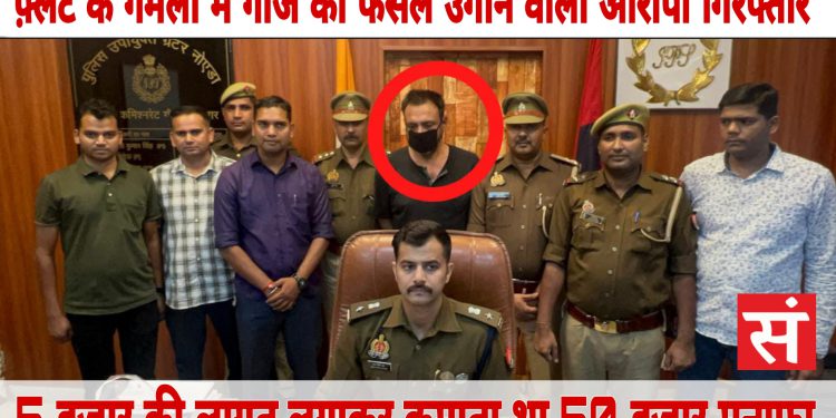 ग्रेटर नोएडा में फ्लैट में अवैध गांजे की फसल का पुलिस ने किया भंडाफोड़, भारी मात्रा में समान बरामद