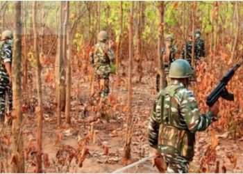 छत्तीसगढ़ में सुरक्षाबलों से मुठभेड़ में 31 नक्सली ढेर, कई ऑटोमेटिक हथियार बरामद